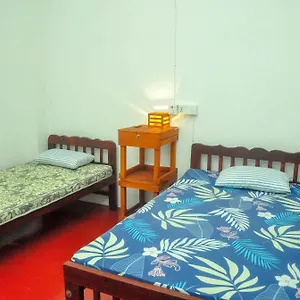 https://resort-airport-tourist.negombohotels.net